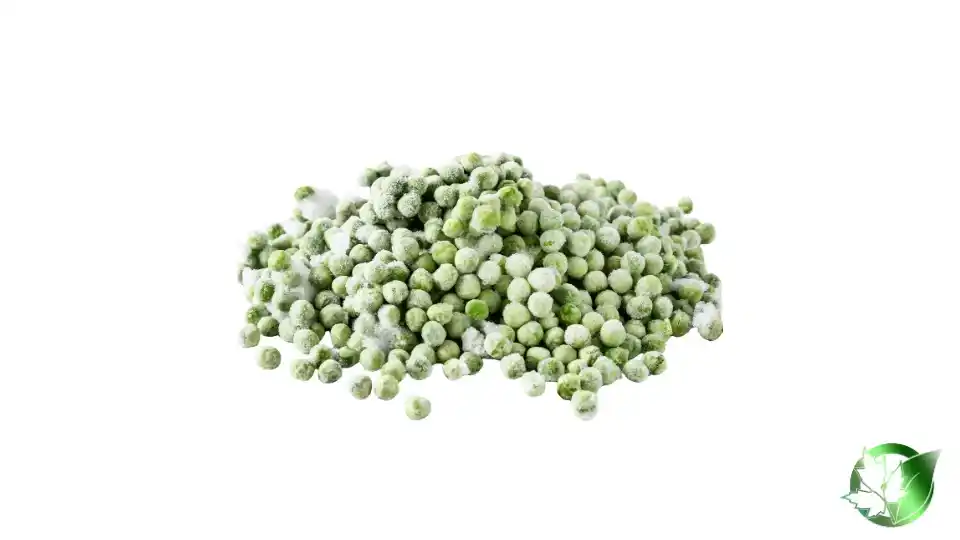 Bulk Frozen Peas | Suppliers | Wholesale | ParsaFood Global